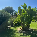 Apartament Helene 200m Plage, Piscine Et Terrain De Tennis